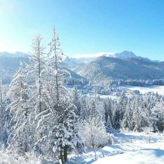Pokoje Goscinne Anna Bobak ซาโกปาเน ภายนอก รูปภาพ